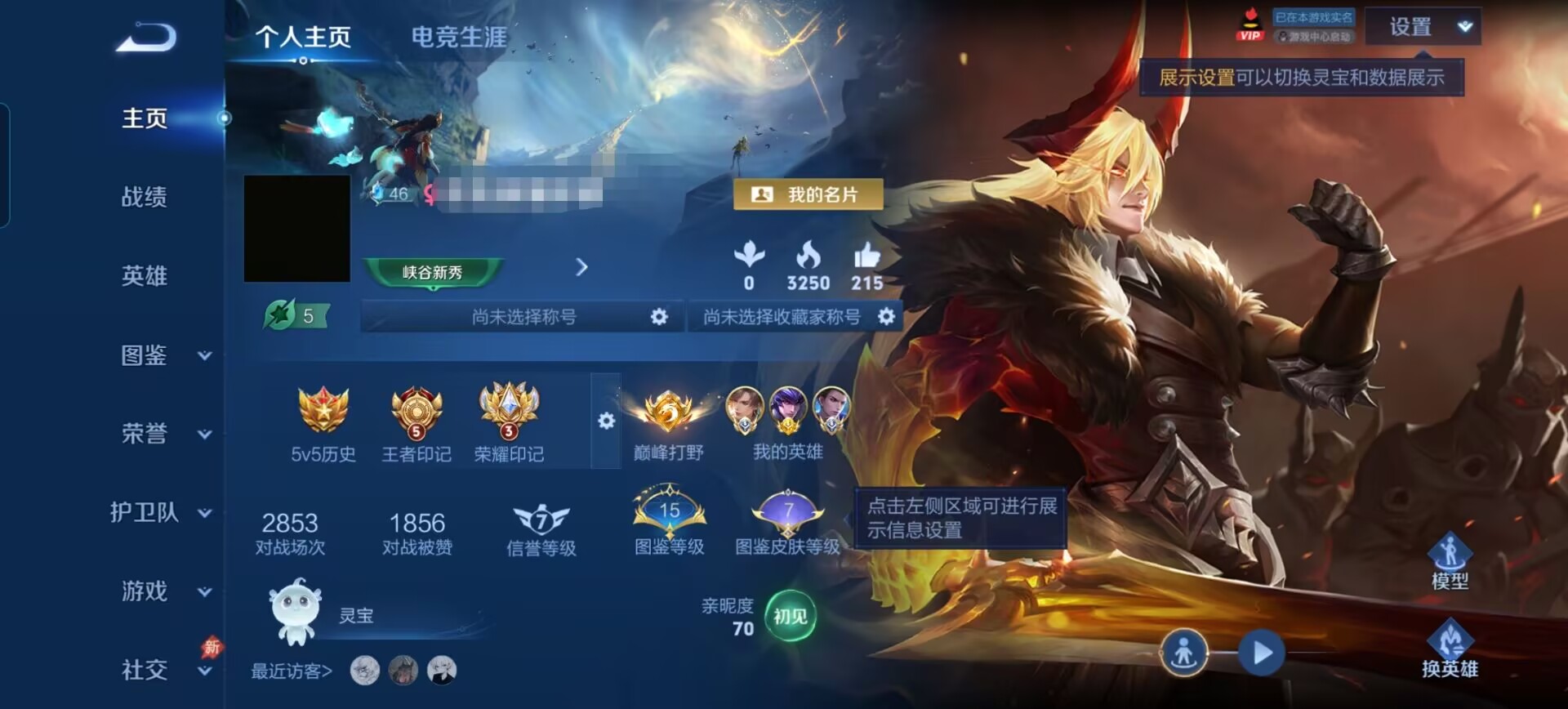 王者荣耀账号安卓QQDSW2846【百星印记 小国暃 小国狄仁杰 11金标可二次 V3 1传说 小国标霏 小国标狄仁杰 