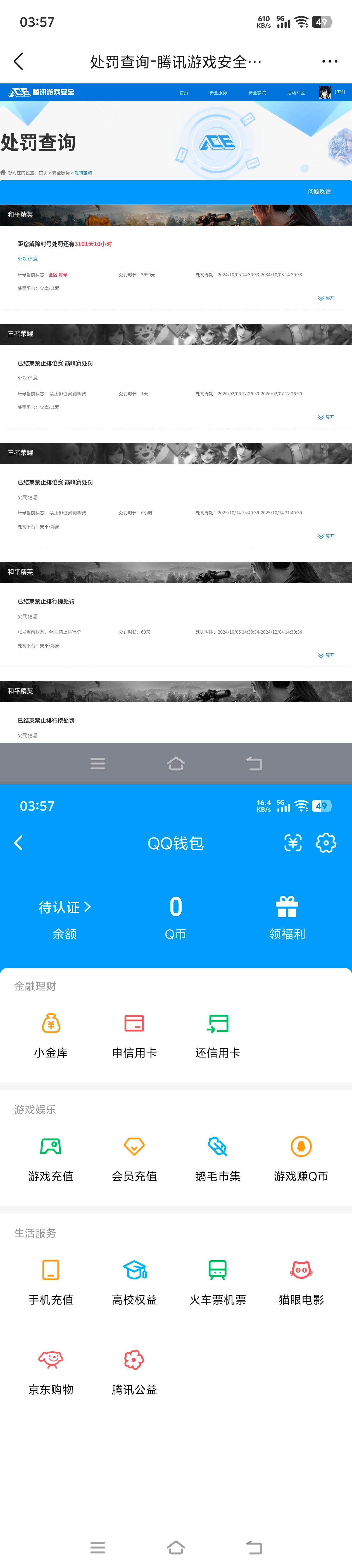 WZQM4294961王者荣耀账号详情图13
